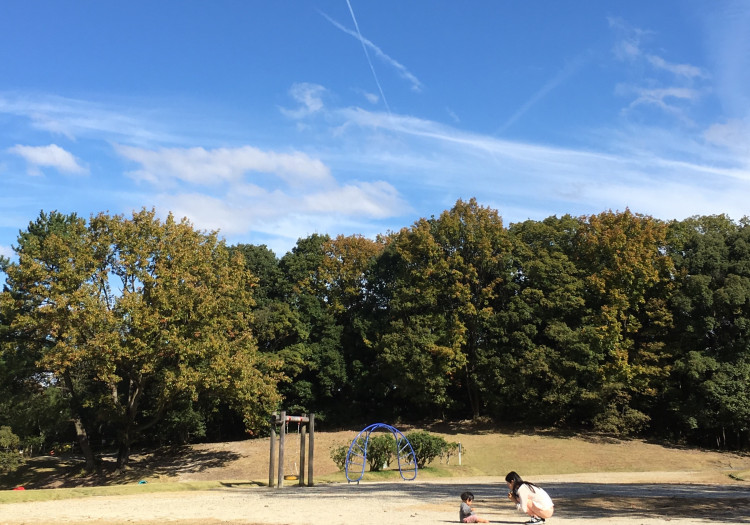 森と親子と飛行機雲　in 森林公園