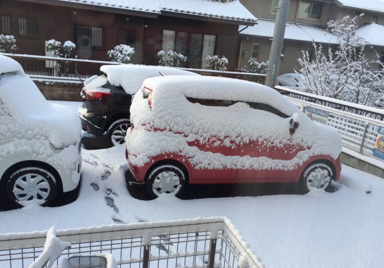 今年初雪